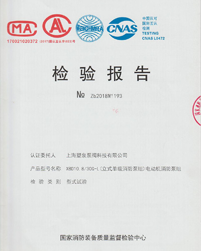 檢驗(yàn)報告